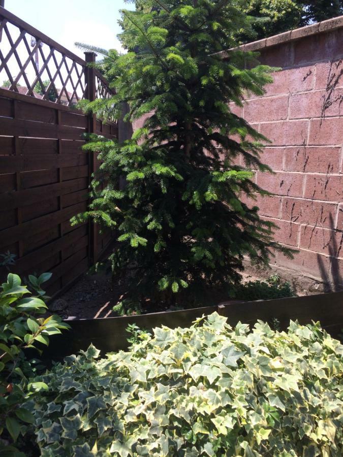 La Porta Nel Giardino Apartamento Asti Exterior foto