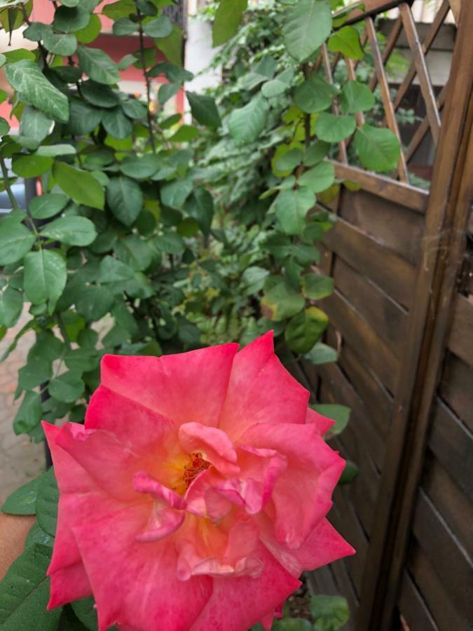 La Porta Nel Giardino Apartamento Asti Exterior foto